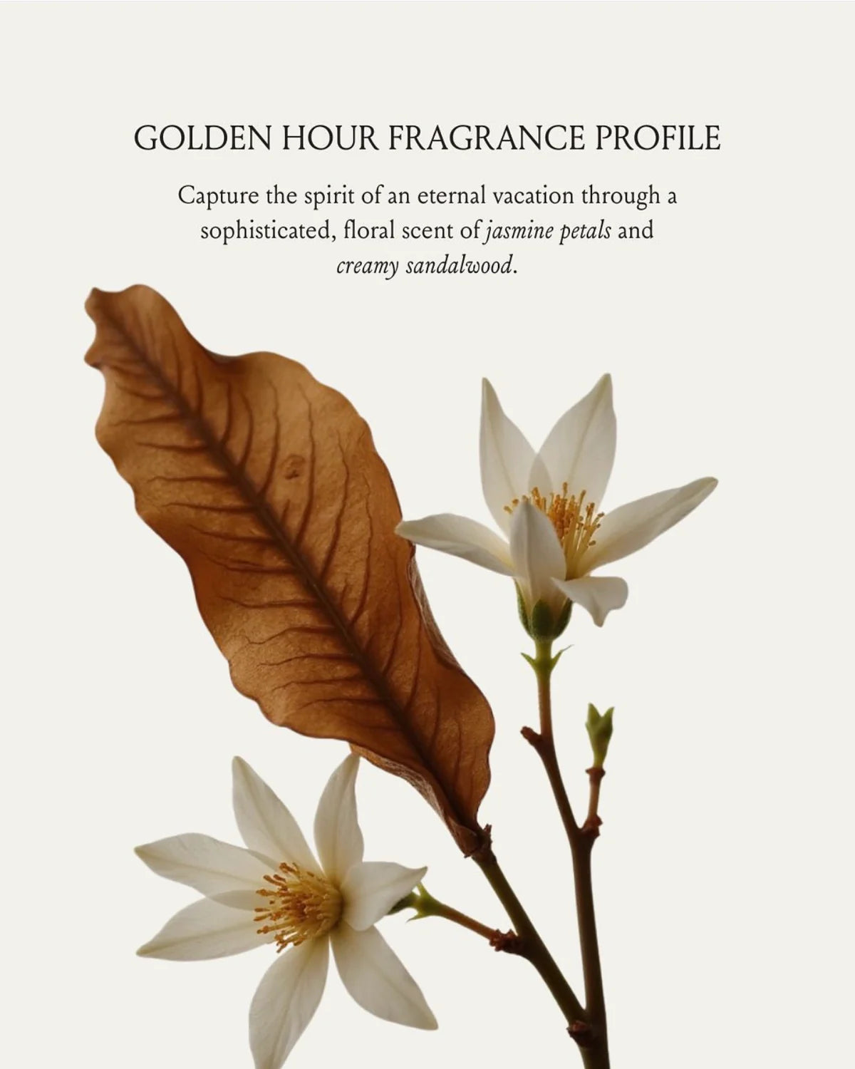 Brunel Pearl Glow Body Oil