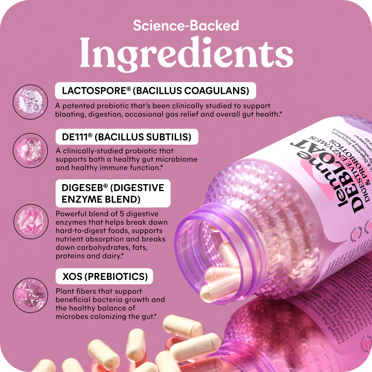 LEMME DEBLOAT CAPSULES