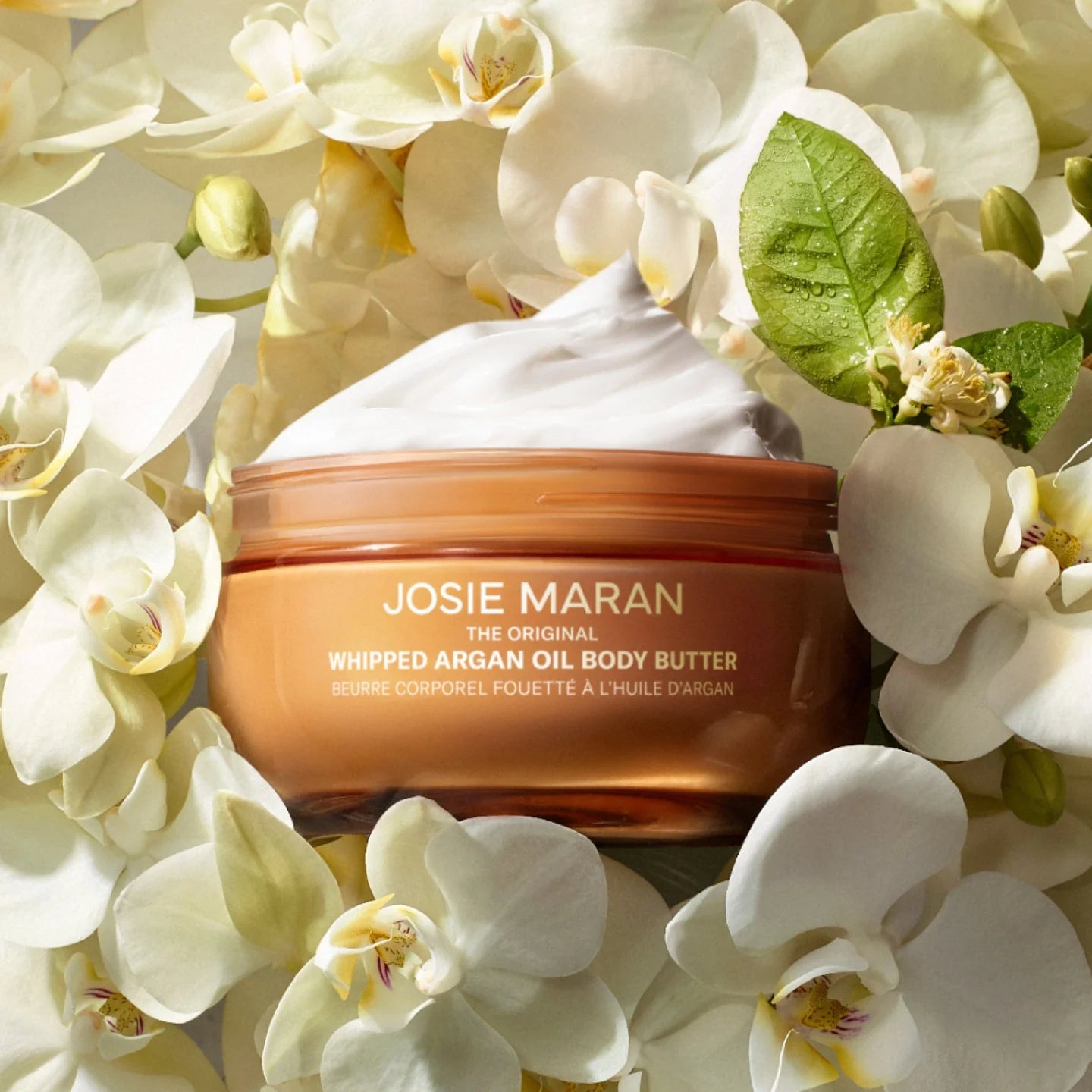 Josie Maran Whipped Argan Oil Body Butter 6 fl oz