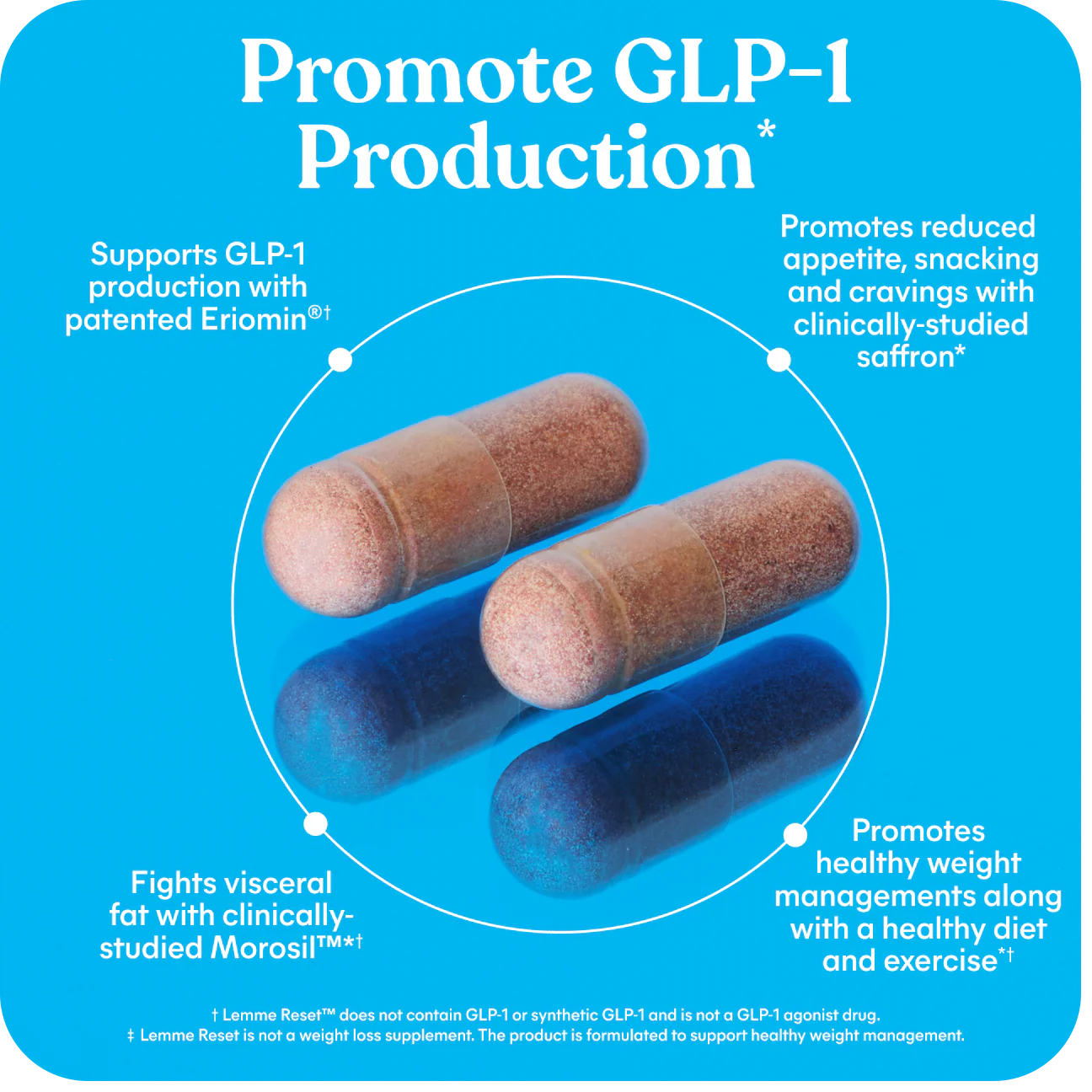 LEMME RESETTM GLP-1 PRODUCTION SUPPORT CAPSULES