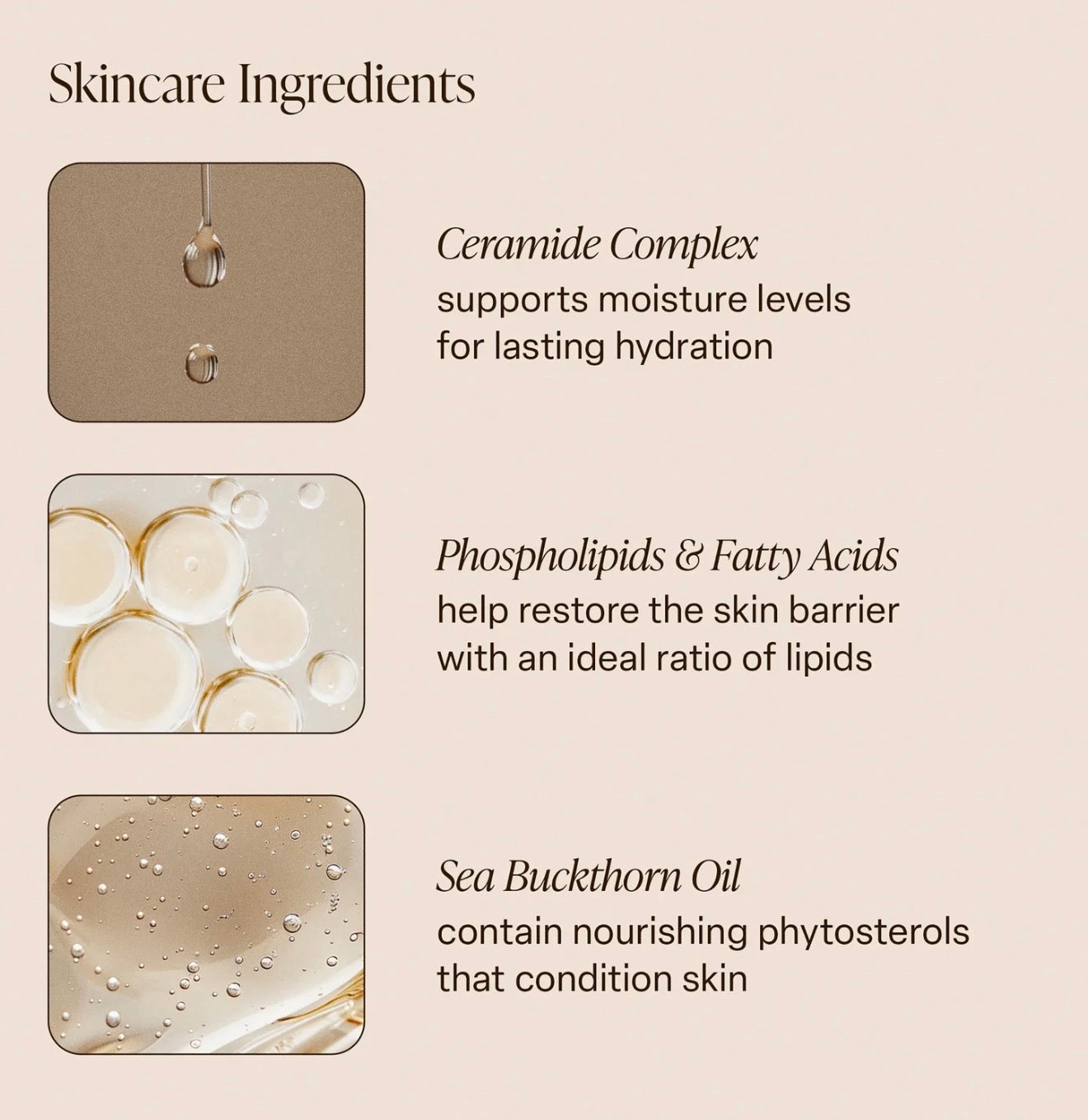 SALTAIR MULTI-LIPID BODY BUTTER